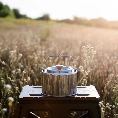 Чайник туристичний Tribe Kettle 1,2 л сталевий (T-FI-0010-metal)