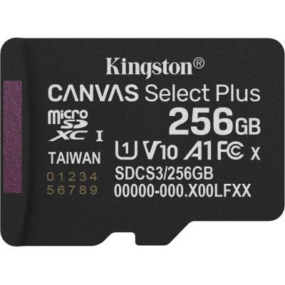 Карта пам\'яті Kingston 256GB microSDXC class 10 UHS-I U1 V10 A1 Select Plus (SDCS3/256GBSP)