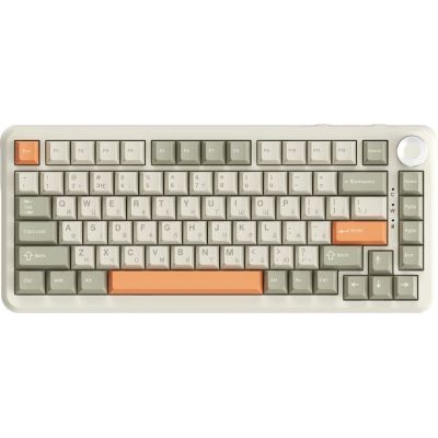 Клавиатура Ajazz AK820 MAX Flying Fish Switch RGB Wireless/Bluetooth/USB Beige (AK820MAX-FF-R)