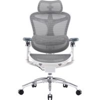 Офісне крісло Sihoo DORO C300 Pro Mesh White (DORO-C300-PRO-M102)