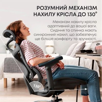 Офисное кресло Sihoo DORO C300L Mesh Black (DORO-C300L-A3-101)