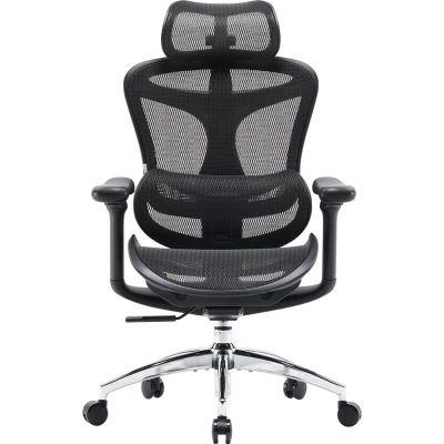 Офісне крісло Sihoo DORO C300L Mesh Black (DORO-C300L-A3-101)