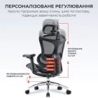Офисное кресло Sihoo DORO C300L Mesh Black (DORO-C300L-A3-101)