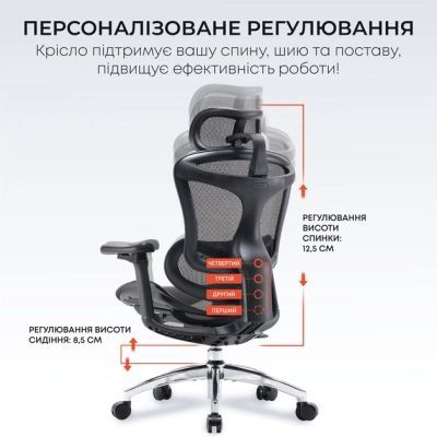 Офисное кресло Sihoo DORO C300L Mesh Black (DORO-C300L-A3-101)