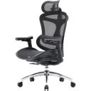 Офісне крісло Sihoo DORO C300L Mesh Black (DORO-C300L-A3-101)