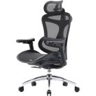 Офісне крісло Sihoo DORO C300L Mesh Black (DORO-C300L-A3-101)