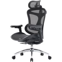 Офісне крісло Sihoo DORO C300L Mesh Black (DORO-C300L-A3-101)
