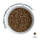 Сухой корм для собак Home Food ADULT MINI Grain-free hypoallergenic с уткой и индейкой 300 г (4820290090194)