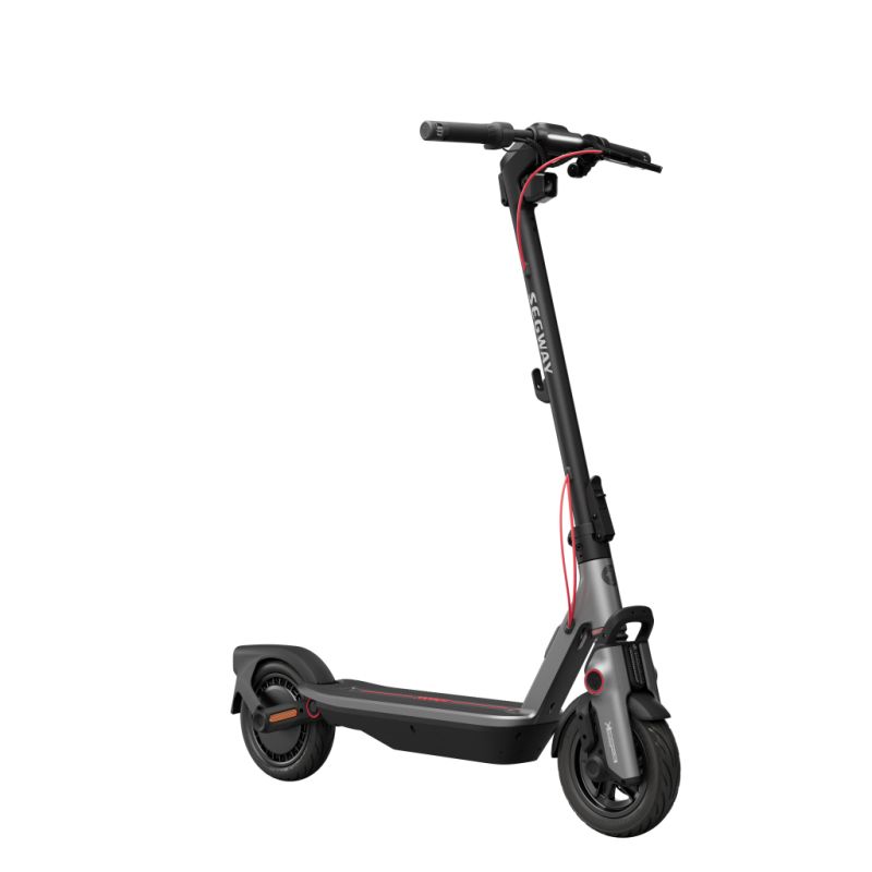 Электросамокат Segway F3 E серый (AA.05.17.01.0005)
