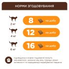 Ласощі для котів Club 4 Paws Подушечки з яловичиною 60 г (4820269145313)