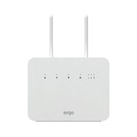 Маршрутизатор Ergo (R291)