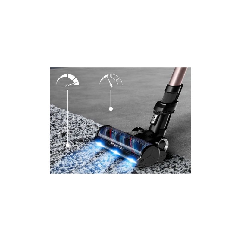 Пылесос Rowenta (RH9CD9E0)