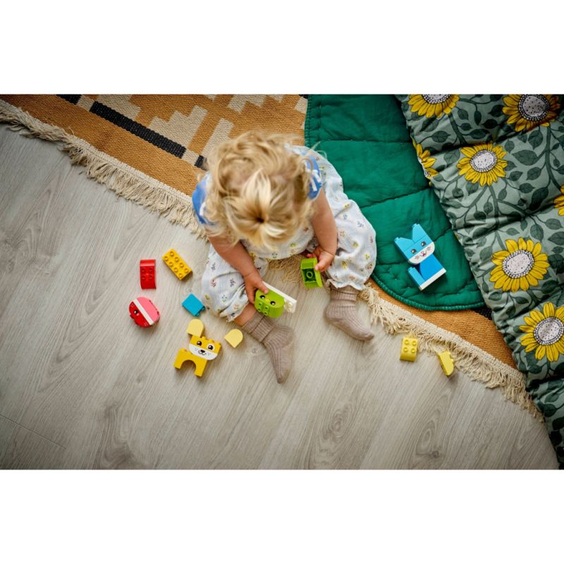 Конструктор LEGO DUPLO My First Очаровательные творческие домашние питомцы 3 в 1 (10477-)