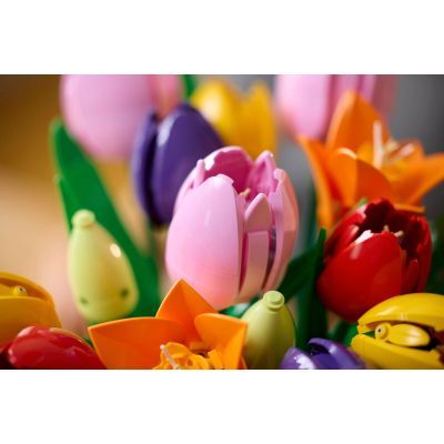 Конструктор LEGO Botanicals Букет тюльпанів (11501)