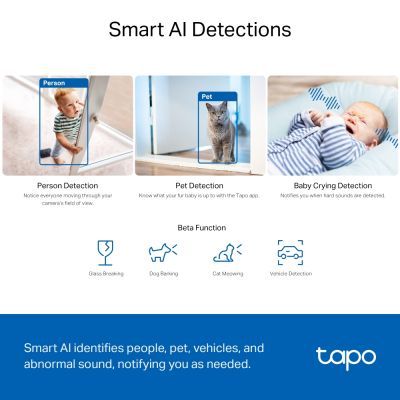 Камера відеоспостереження TP-Link (TAPO-C230)