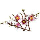 Конструктор LEGO Botanicals Magnolia Branches (11510)