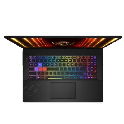 Ноутбук MSI Crosshair A17 HX (D2XWFKG-058XUA)