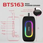 Акустична система Energizer (BTS163) Black (BTS163)