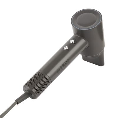 Фен Rotex (RFS1064-ion ProSalon)