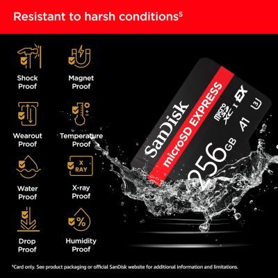 Карта пам\'яті SanDisk 256GB microSDXC class 10 UHS-I U3 A1 Express (SDSQXFN-256G-GN4NN)