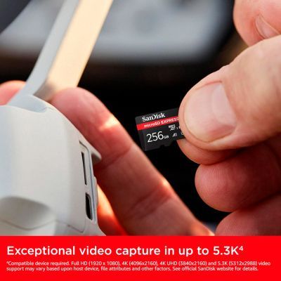 Карта пам\'яті SanDisk 256GB microSDXC class 10 UHS-I U3 A1 Express (SDSQXFN-256G-GN4NN)