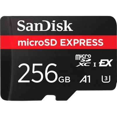 Карта пам\'яті SanDisk 256GB microSDXC class 10 UHS-I U3 A1 Express (SDSQXFN-256G-GN4NN)