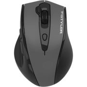 Мишка A4Tech Fstyler FG55S Plus Wireless Grey (4711421003421)