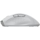 Мишка A4Tech Fstyler FG55S Plus Wireless White (4711421003438)