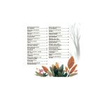 Книга Віршенята-скоромовки - Юлія Пеліхова 4mamas (9786170044327)