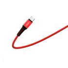Дата кабель USB 2.0 AM to USB-C 1.0m 2.4A red Denmen (DN-D02T-RD)