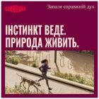 Лакомство для собак Carnilove Crunchy Snack Ostrich with Blackberries 200 г (8595602582587)