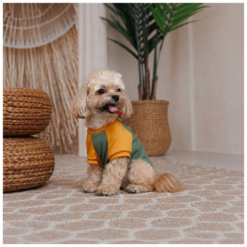 Футболка для животных Pet Fashion Kent XS2 (4823082446162)
