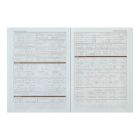 Щоденник шкільний ZiBi CAPYBARA А5, 40аркушів, м'яка обкладинка, скоба (ZB.13116)