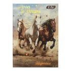 Щоденник шкільний ZiBi NIGHT HORSE В5, 40 аркушів, тверда обкладинка (ZB.13765-01)