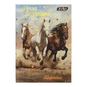 Щоденник шкільний ZiBi NIGHT HORSE В5, 40 аркушів, тверда обкладинка (ZB.13765-01)
