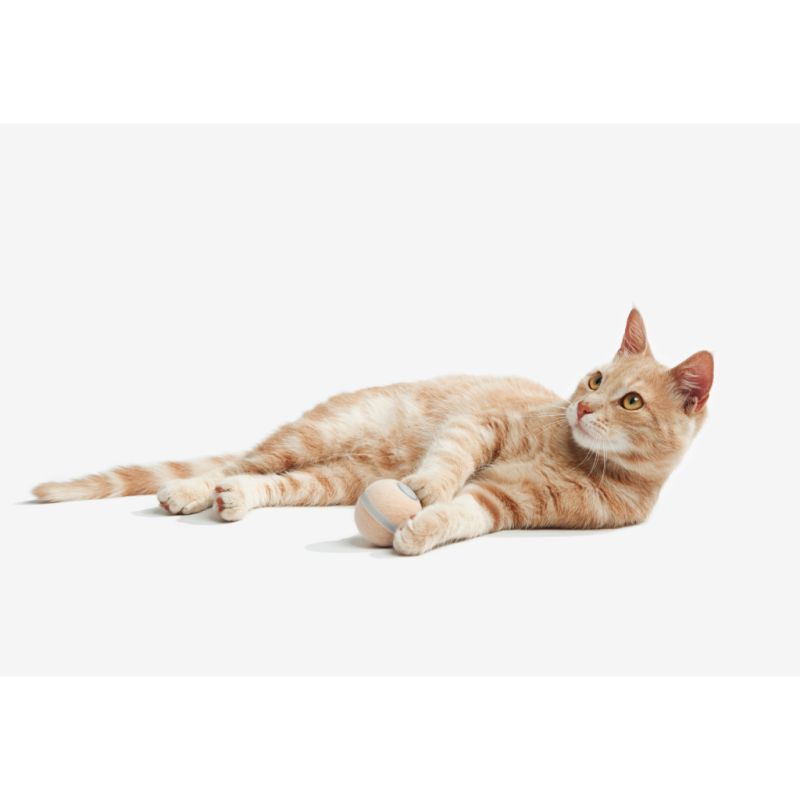 Игрушка для кошек Cheerble Wicked Ball M3 (Apricot Beige) (CWQ02A)