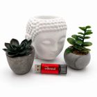 USB флеш накопитель Wibrand 128GB Ladybug Red USB 3.2 (WI3.2/LB128P10S)