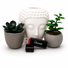 USB флеш накопитель Wibrand 32GB Scarab Black USB 3.2 (WI3.2/SC32P11B)