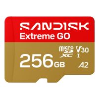 Карта памяти SanDisk 256GB microSDXC class 10 UHS-I Extreme GO (SDSQXGN-256G-GN6MN)